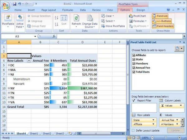 Microsoft Office Excel Pivot Table